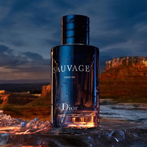 dior dior sauvage parfum|Dior Sauvage 100ml best price.